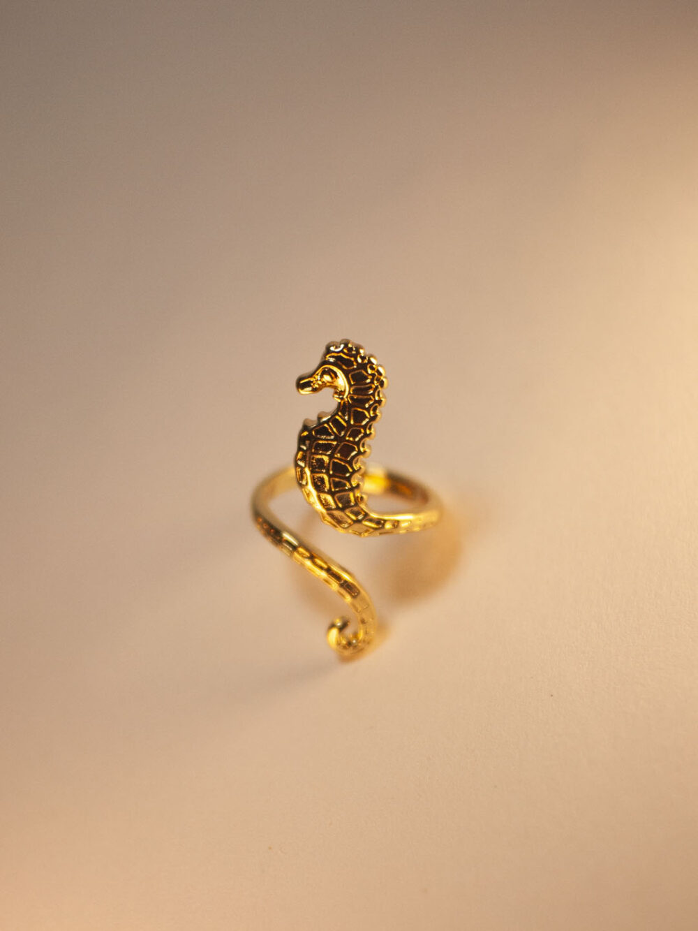 Anillo caballito de mar