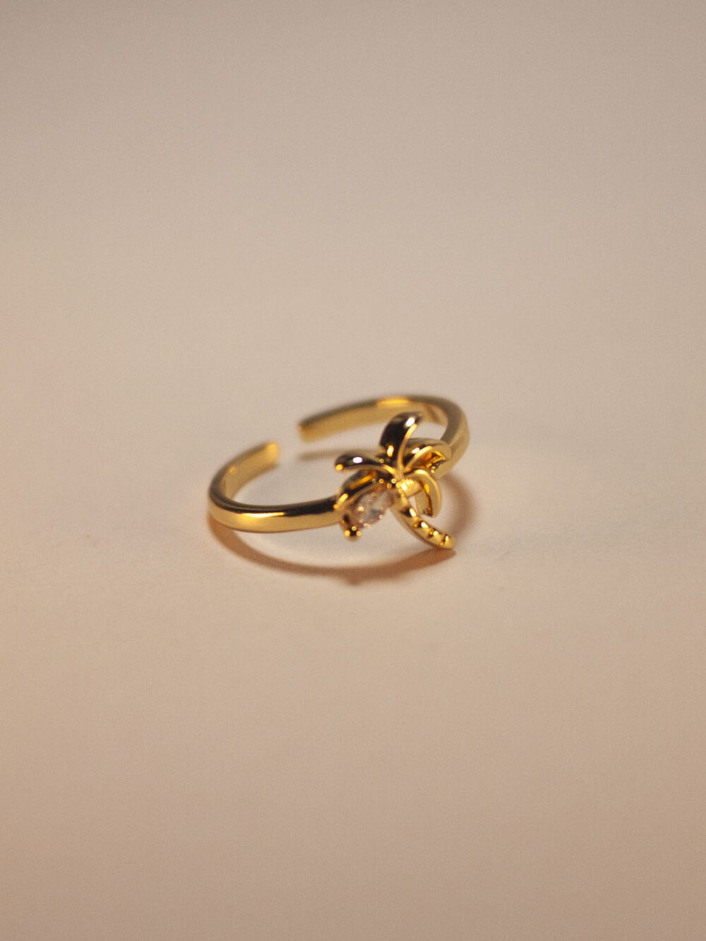 Anillo Graduable Palm